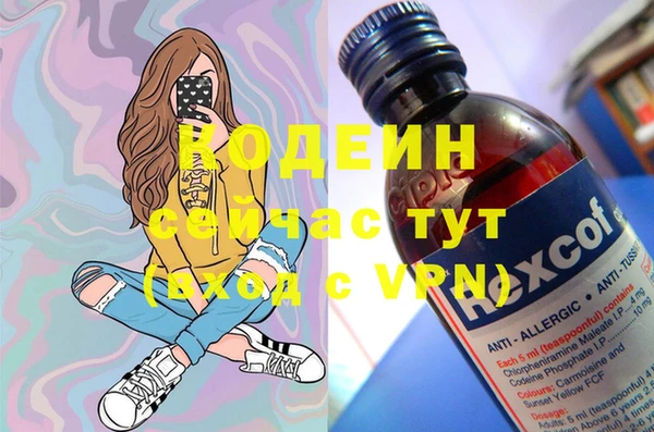 дмт Вяземский