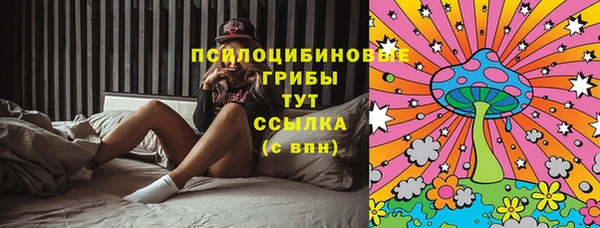 дмт Вяземский