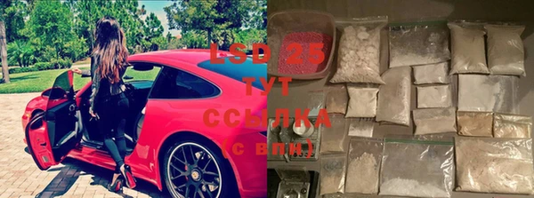 дмт Вяземский